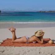 Solstice Chocolate Beach Towel